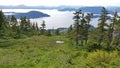 View from Harbor mtn.