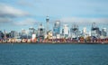 VIew of auckland city in New Zealand