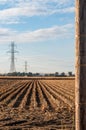 View of harvested cornfield and high tension power lines.