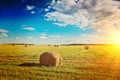 View on harvested field with bales of straw instagram stile Royalty Free Stock Photo
