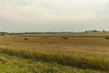 View of harvested field with hay rolls gathered for further transportation to stores. Agriculture concept. Technology concept.