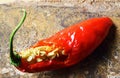 WHITE SEEDS INSIDE A DAMAGED RIPE RED HOT CHILI