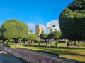 view of Hassan Tower or Tour Hassan is the minaret of an incomplete mosque in Rabat, Morocco Royalty Free Stock Photo