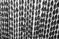 Black and white hatched curtain Royalty Free Stock Photo