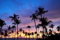 View of Hawaiian sunset displaying sky covered with various colors of purple and orange and the silhouette of palm trees