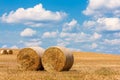 view of hay bales in summer. view of hay stacks. Agriculture. Field after harvest with hay rolls. Landscape with farm land, straw Royalty Free Stock Photo