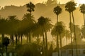 Golden hazy sunset in Santa Barbara, California.