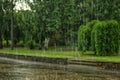 View of heavy pouring rain