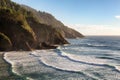 View from the Heceta Head lighthouse on the Oregon pacific coast line.