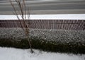 View of the hedge from the upper window of the house. trees and a fence made of planks. everything is snowy even roads and street