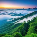 A view from a height of a mountain peak with green trees in the Panoramic