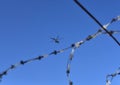 View of the helicopter in the air through the barbed wire against the blue sky Royalty Free Stock Photo