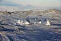 Steam vents on the summit of Mount Erebus, Antarctica Royalty Free Stock Photo