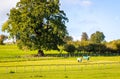 A view of Helmsley, a market town and civil parish in the Ryedale district of North Yorkshire, England Royalty Free Stock Photo