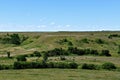 Beef herd grazing in a valley Royalty Free Stock Photo