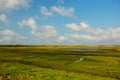 View at Het Zwin wildlife reservation , Belgium Royalty Free Stock Photo
