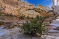 A view of Hickman Bridge Arch in Capital Reef national park Royalty Free Stock Photo