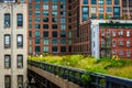 View of the High Line in Manhattan, New York. Royalty Free Stock Photo