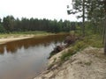 The view of the high sand coast of the forest river. Royalty Free Stock Photo