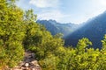View of High Tatra Mountains from hiking trail. Royalty Free Stock Photo