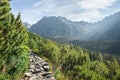 View of High Tatra Mountains from hiking trail Royalty Free Stock Photo