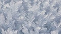 View highlights the icy texture and translucent quality of the snowflake Royalty Free Stock Photo