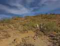 View of Hikers on the Trail at Adero Canyon Trailhead in Scottsdale Arizona.