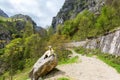 View from hiking trail Cares Trail or Ruta del Cares, Picos de Europa National Park, province of Leon, Spain