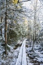 View of the hiking trail in the forest, Meiko recreation area, Kirkkonummi, Finland