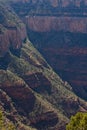 View of a hiking trail in the Grand Canyon, Arizona. Royalty Free Stock Photo