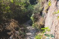 View of hiking trail from Paleokastritsa to Lakones, Old Donkey path, Corfu, Kerkyra, Greece, Ionian sea islands, with olive grove Royalty Free Stock Photo