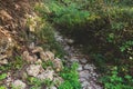 View of hiking trail from Paleokastritsa to Lakones, Old Donkey path, Corfu, Kerkyra, Greece, Ionian sea islands, with olive grove Royalty Free Stock Photo