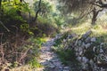 View of hiking trail from Paleokastritsa to Lakones, Old Donkey path, Corfu, Kerkyra, Greece, Ionian sea islands, with olive grove Royalty Free Stock Photo