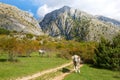 View from hiking trail in Sirente-Velino Regional Park in autumn, province of L`Aquila, Abruzzo, central Apennines, central Ital