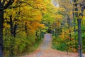 The view of of a hiking trail with stunning fall foliage near Mount Royal, Montreal, Canada