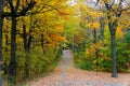 The view of of a hiking trail with stunning fall foliage near Mount Royal, Montreal, Canada