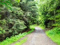 View of Hiking Trail to Monte San Primo Royalty Free Stock Photo