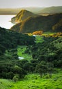 View from hill overlooking Taylor`s Bay and Opoutama headland, Mahia Peninsula, North Island, New Zealand Royalty Free Stock Photo