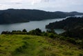 A view from a hill at the sea and trees and a path leading down in New Zealand Royalty Free Stock Photo