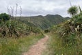 Hillary Trail in Waitakere Ranges regional park