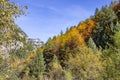 View of the hills covered with trees with colorful autumn foliage Royalty Free Stock Photo