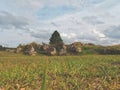 View of the hills there are trees in the middle of the meadow and blue sky Royalty Free Stock Photo