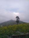 View of hills, trees, clouds, and sky