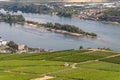 view on hillside vineyards along the Rhine River and the fulder aue island in the rhine near ruedesheim