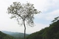 View of green hills and trees.