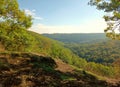 Hilly landscape with forest on hiking-trail Vitaltour Stein, Wein & Farbe in Nahe-Region of rhineland-palatinate