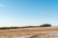 View of a hilly horizon with a snow-covered field with orange dry grass and shrubs. Clear blue orange sky in early spring in Royalty Free Stock Photo