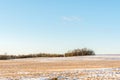 View of a hilly horizon with a snow-covered field with orange dry grass and shrubs. Clear blue orange sky in early spring in Royalty Free Stock Photo