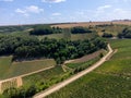 Aerial view on vineyards of Pouilly-Fume appellation, making of dry white wine from sauvignon blanc grape growing on different