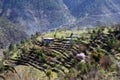 View of a Himalayan village house and terrace farming on slop of mountain